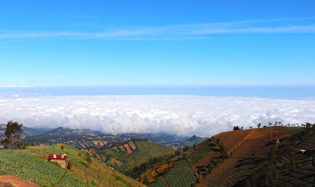 29歳未経験からの転職成功の秘訣は？