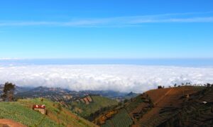 29歳未経験からの転職成功の秘訣は？