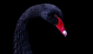 未経験からの転職で20代がブラック企業を回避する方法は？