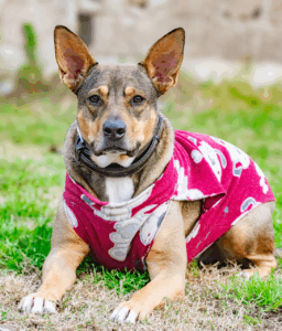 中途採用における未経験者の志望動機はどう書くべき？