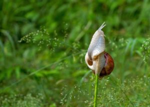 未経験からの中途採用で書く志望動機のポイントは？