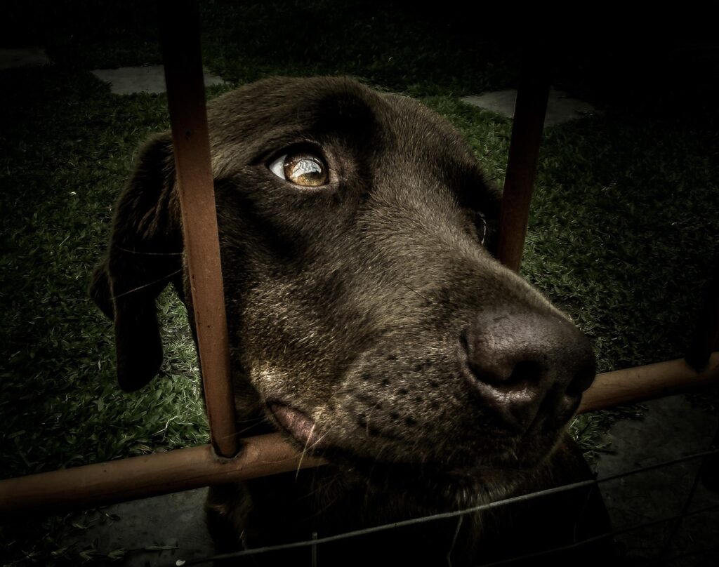 未経験からの中途採用における志望動機の書き方は？