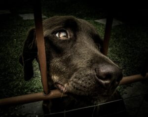 未経験からの中途採用における志望動機の書き方は？