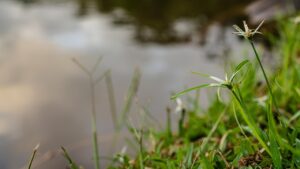 未経験者が使える自己PRの効果的な例文とは？