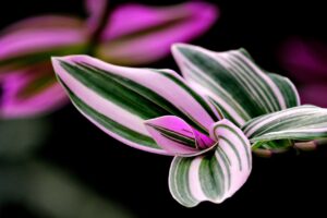 転職未経験者のための志望動機の例文は？