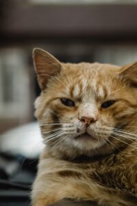 中途採用の志望動機を効果的に伝える方法は？