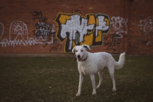 中途採用の志望理由を明確に伝えるためのポイントは？