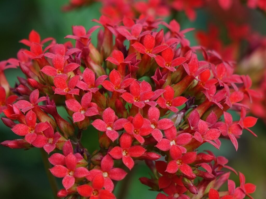 転職エージェントはいくつ使うべきか？