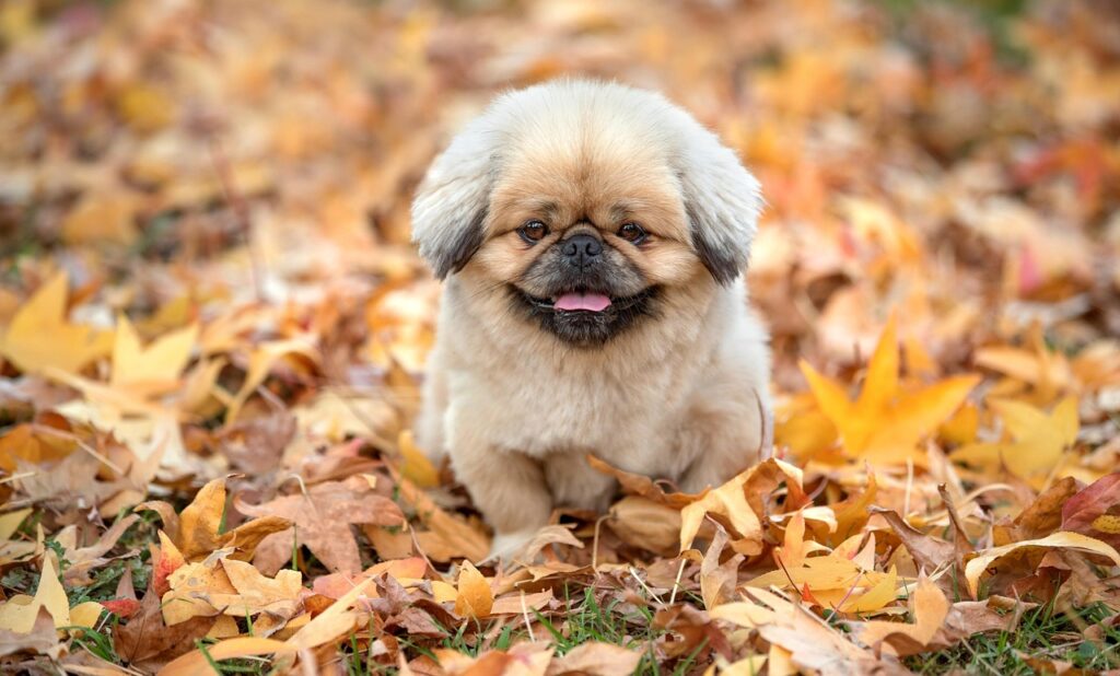 20代の転職は何回までが理想とされるのか？