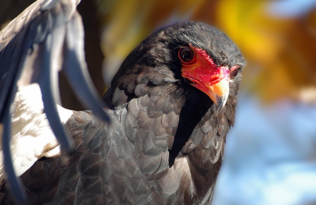 短期離職が転職において不利になる理由とは？