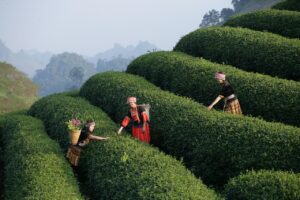 20代未経験者が職務経歴書を経験なしで書く方法は？