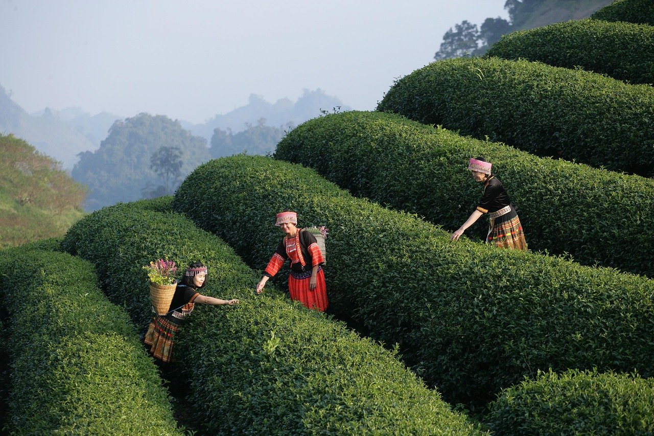 20代未経験者が職務経歴書を経験なしで書く方法は？